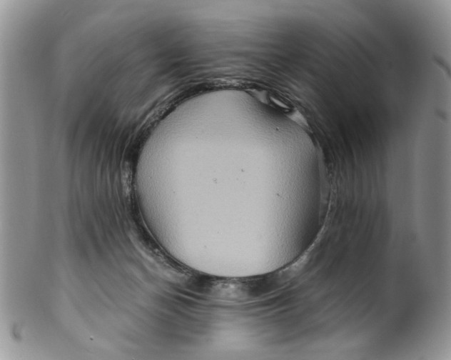 X0000099490174200806051107