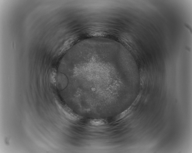 X0000099490175200806051107