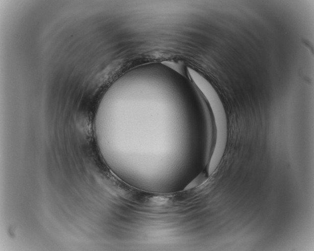 X0000099490176200806051107