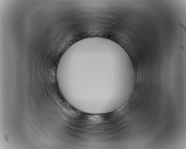 X0000099490183200806051107