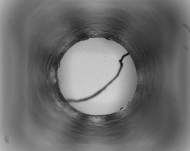 X0000099490187200806051107