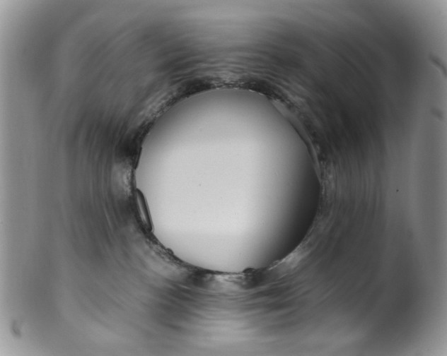 X0000099490188200806051107