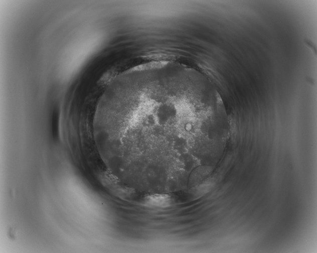 X0000099490189200806051107