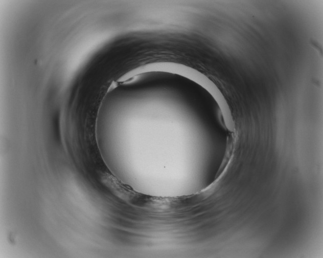 X0000099490190200806051107