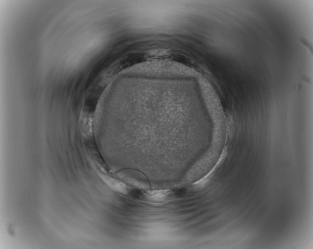 X0000099490191200806051107