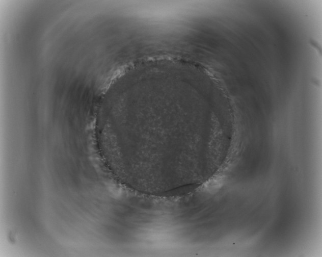 X0000099490192200806051107