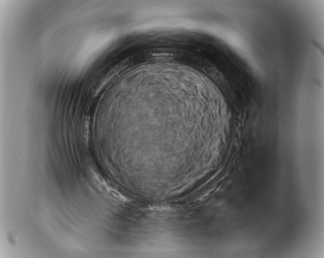 X0000099490194200806051106