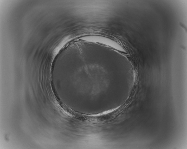 X0000099490195200806051106