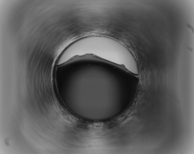 X0000099490196200806051106