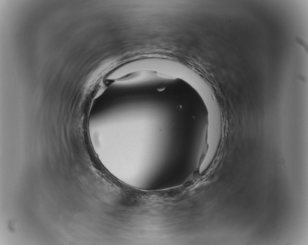 X0000099490197200806051106