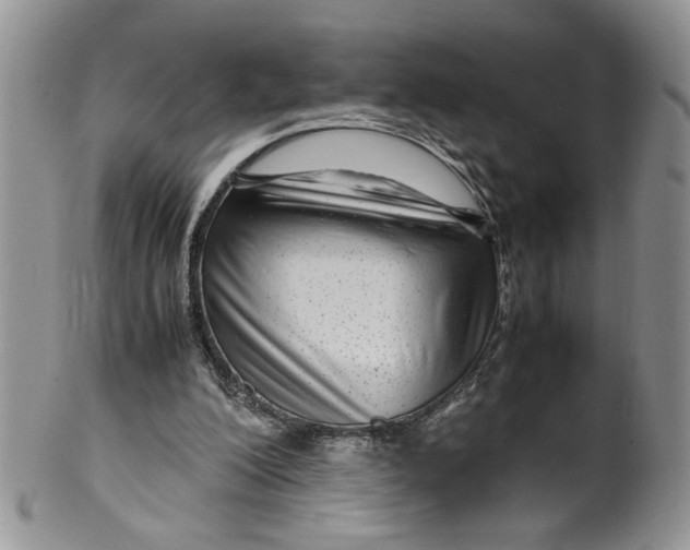 X0000099490200200806051106