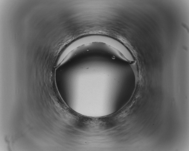 X0000099490201200806051106