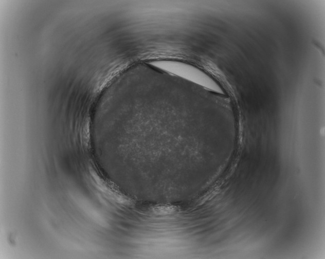 X0000099490202200806051106