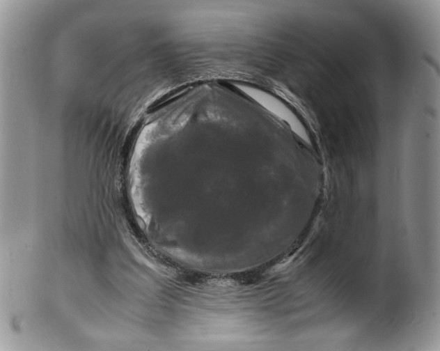 X0000099490203200806051106