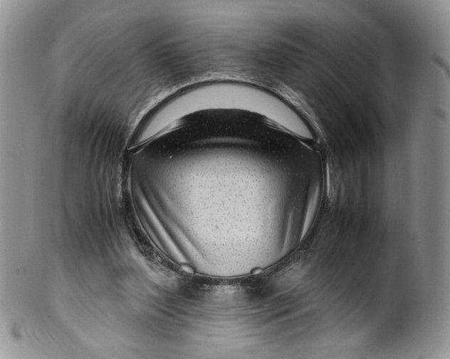 X0000099490204200806051106