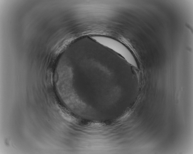 X0000099490205200806051106