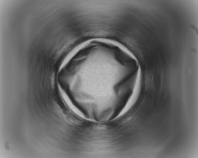 X0000099490206200806051106