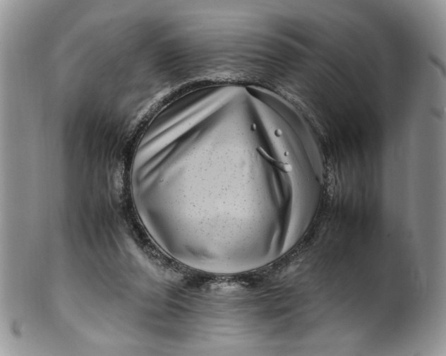 X0000099490208200806051106