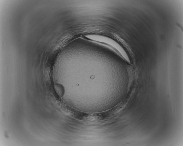 X0000099490209200806051106