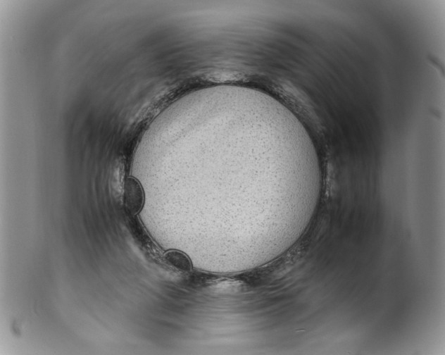 X0000099490210200806051106