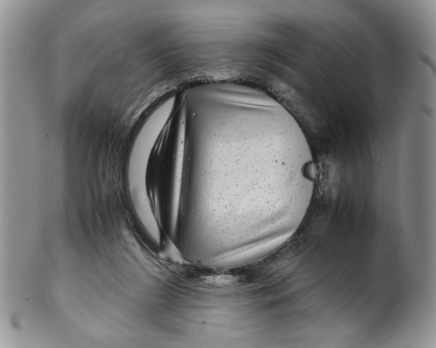 X0000099490212200806051106