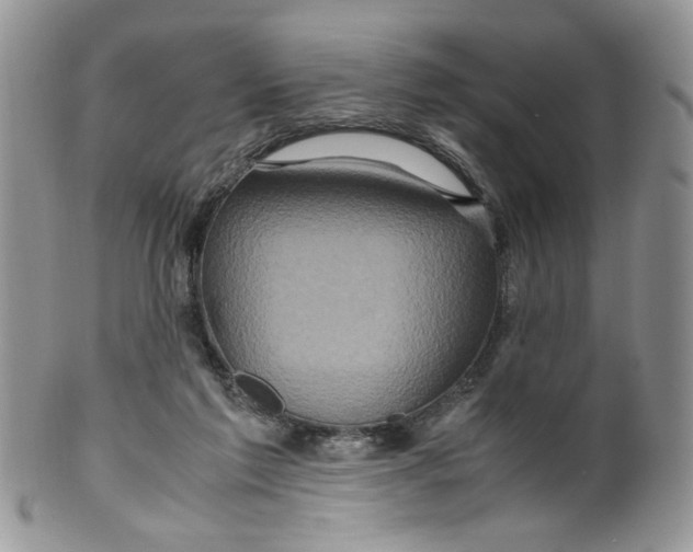 X0000099490213200806051106