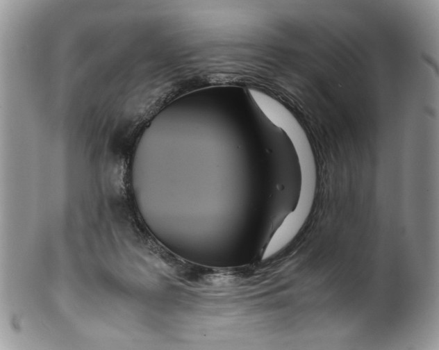 X0000099490219200806051106