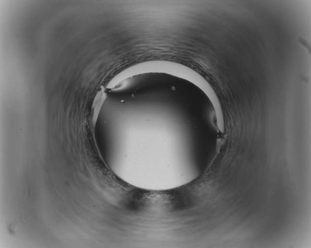 X0000099490221200806051106