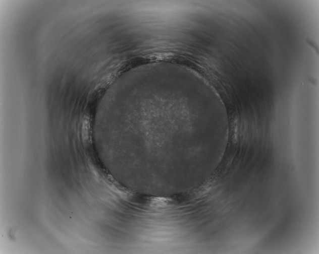 X0000099490222200806051106