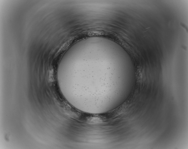 X0000099490224200806051106