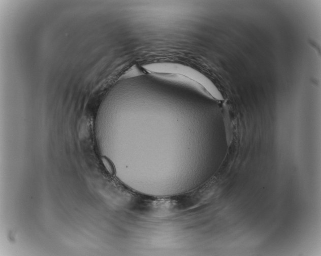 X0000099490225200806051106