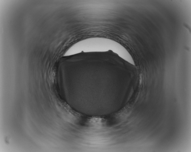 X0000099490227200806051106