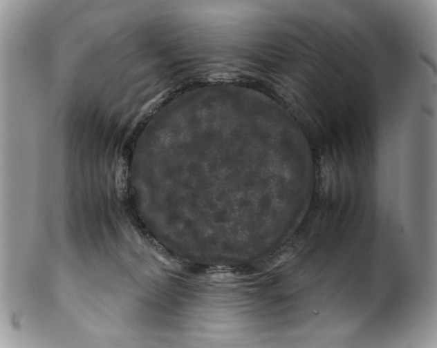 X0000099490228200806051106