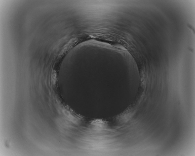 X0000099490231200806051106