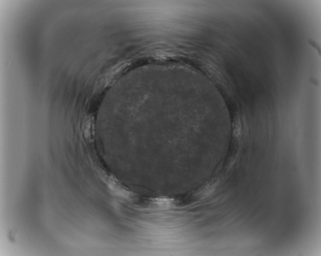 X0000099490233200806051106