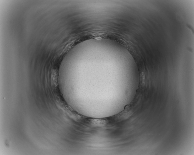 X0000099490234200806051106