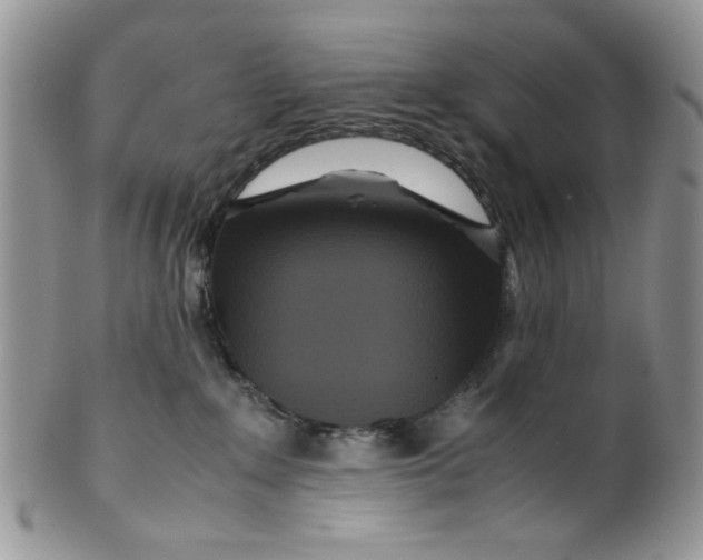 X0000099490235200806051106