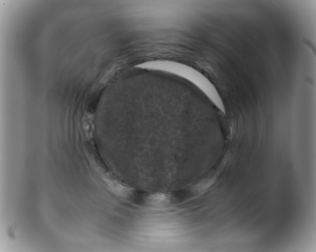 X0000099490237200806051106