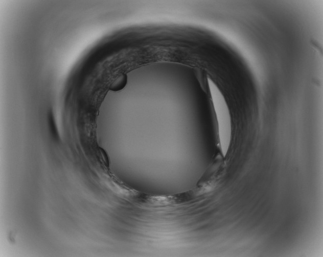 X0000099490239200806051106