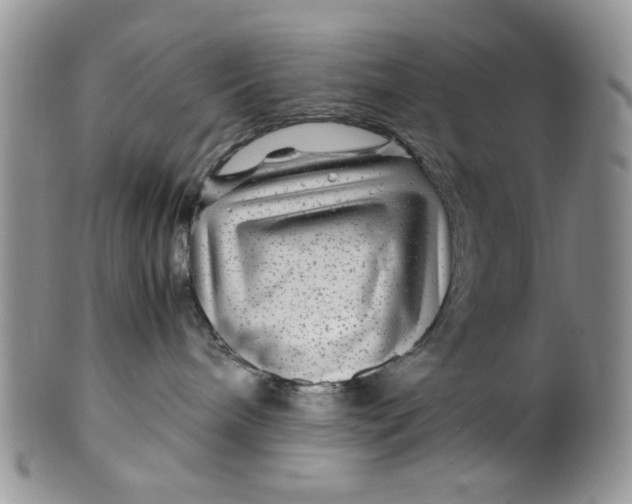 X0000099490240200806051106