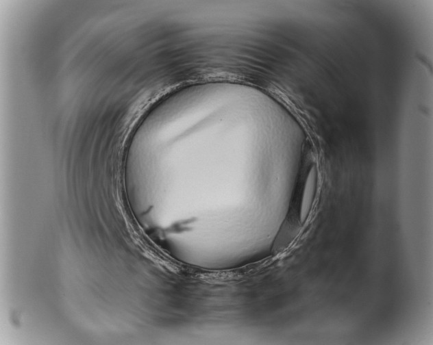 X0000099490241200806051105