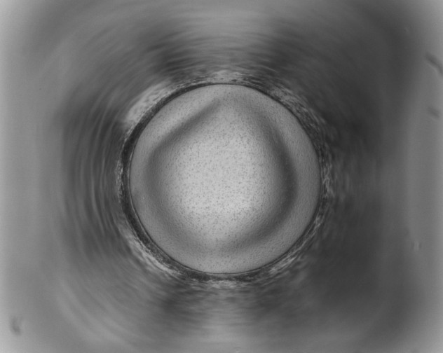 X0000099490242200806051105