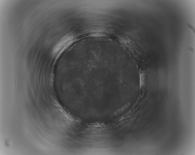 X0000099490243200806051105