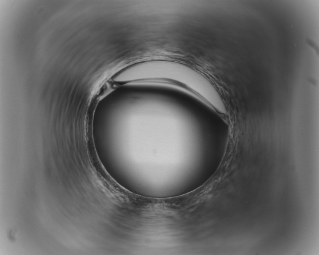 X0000099490244200806051105