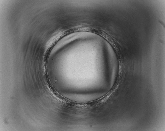 X0000099490245200806051105