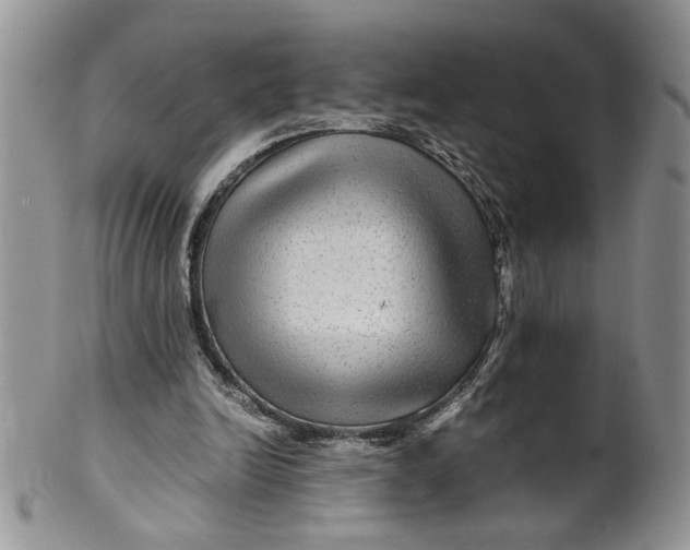 X0000099490246200806051105