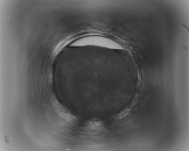 X0000099490247200806051105