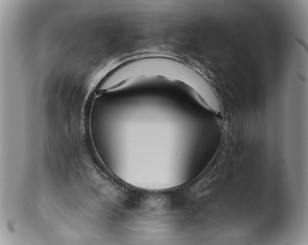 X0000099490248200806051105