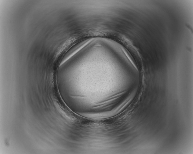 X0000099490250200806051105