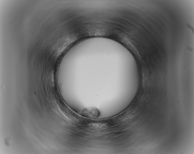 X0000099490251200806051105